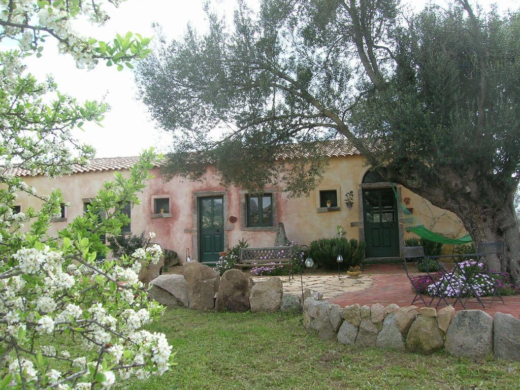 La Mesenda Rooms & Apartments Arzachena Zewnętrze zdjęcie